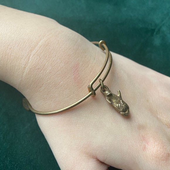 Alex and Ani "Side by Side" Otter Bracelet | Gold - Picture 3 of 7